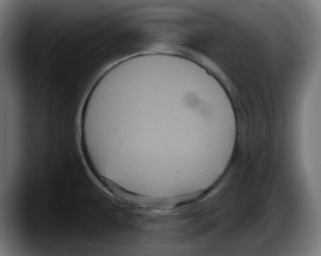 X0000087531479200705251649