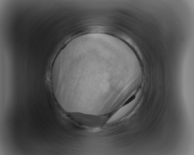 X0000087531481200705251649