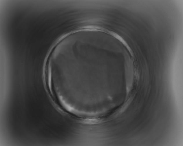 X0000087531482200705251649