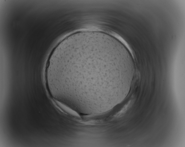 X0000087531485200705251649