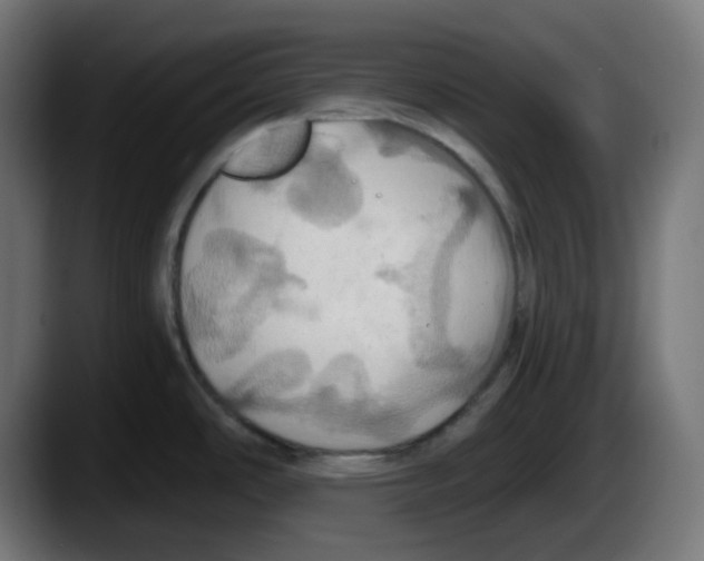 X0000087531486200705251649
