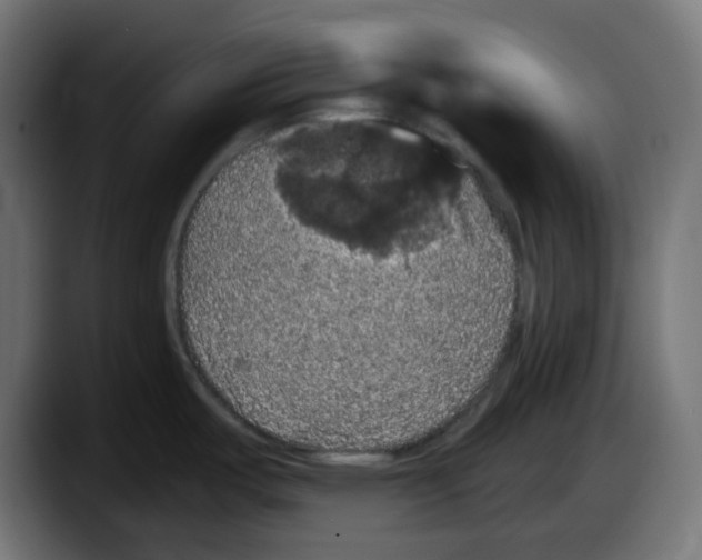X0000087531487200705251649