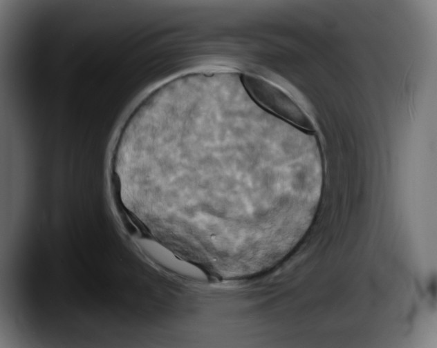 X0000087531488200705251649
