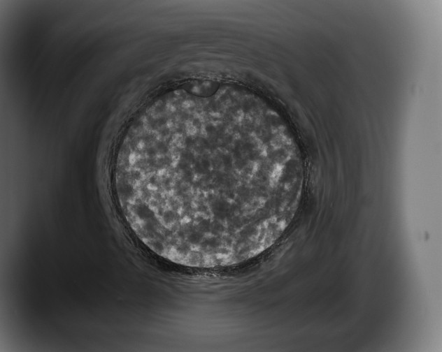X0000087531489200705251649
