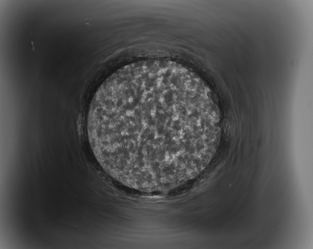 X0000087531490200705251649