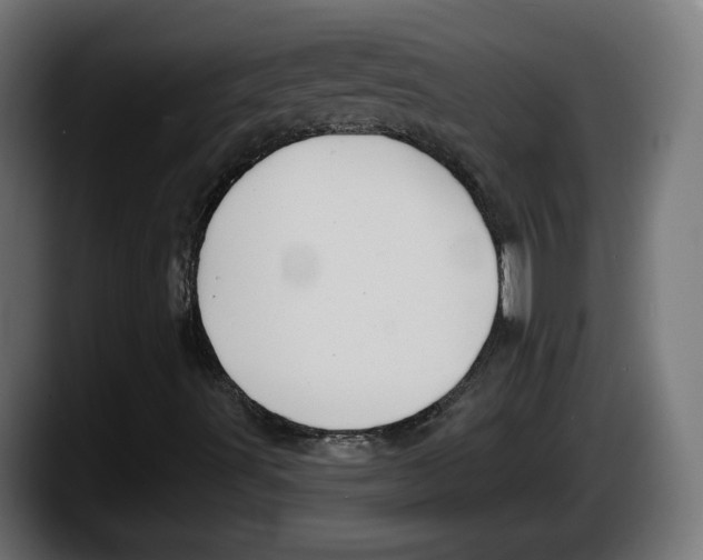 X0000087531491200705251649