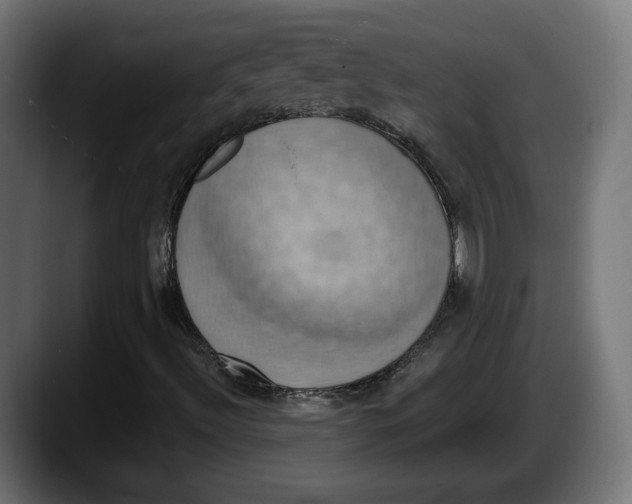 X0000087531492200705251649