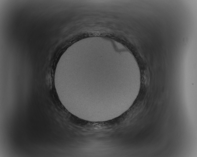 X0000087531493200705251649