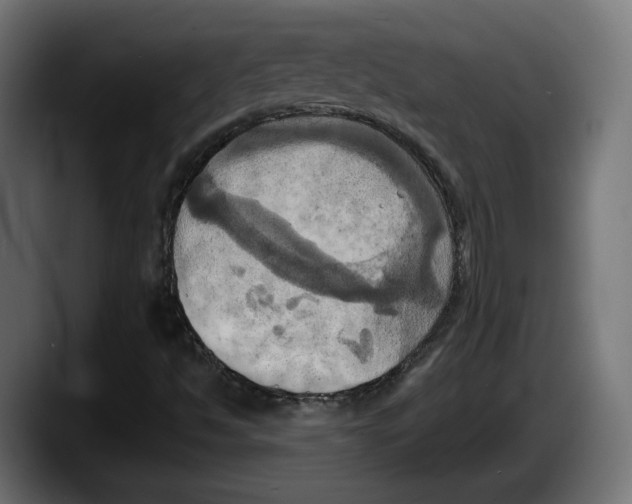 X0000087531494200705251649