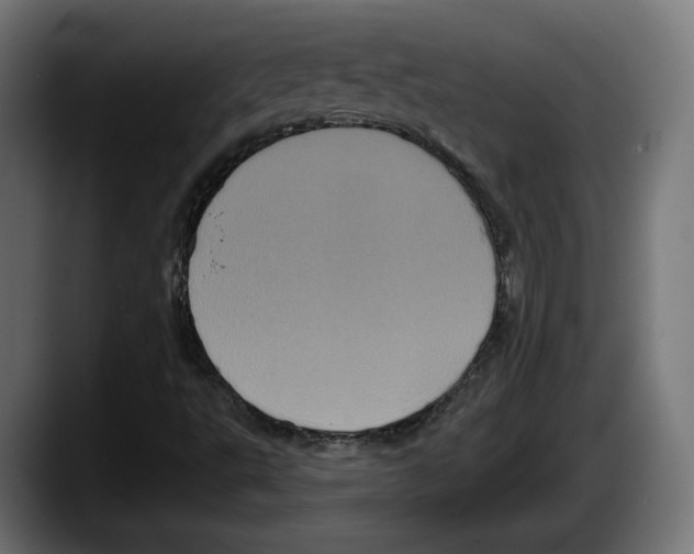 X0000087531495200705251649