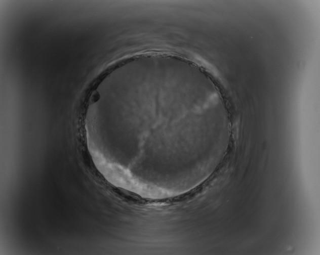 X0000087531496200705251649