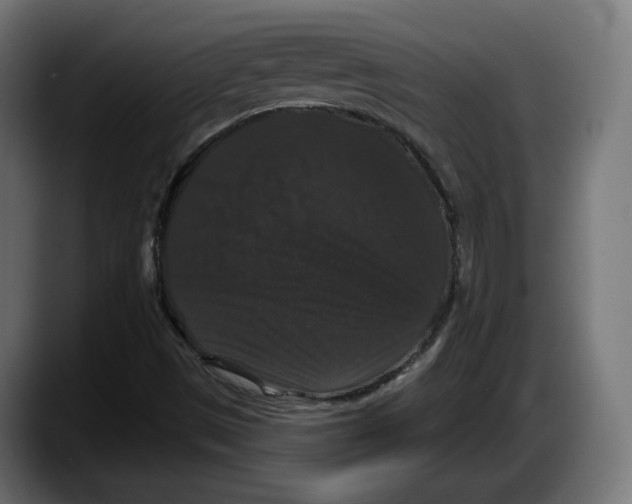 X0000087531497200705251649