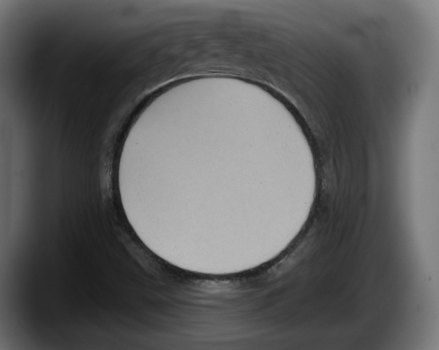 X0000087531499200705251649