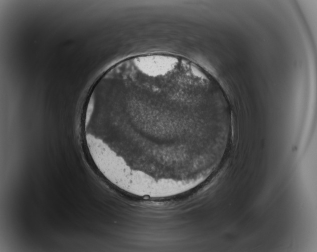 X0000087531500200705251649