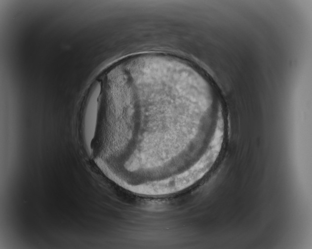 X0000087531501200705251649