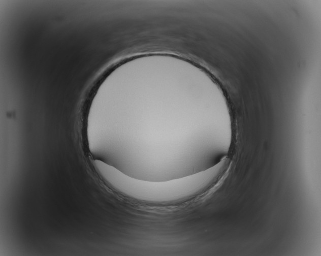 X0000087531502200705251649