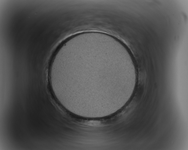 X0000087531503200705251649