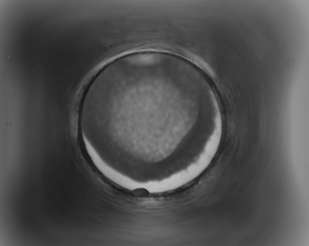 X0000087531504200705251649