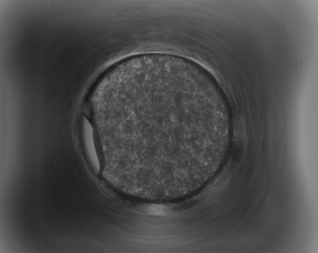 X0000087531507200705251649