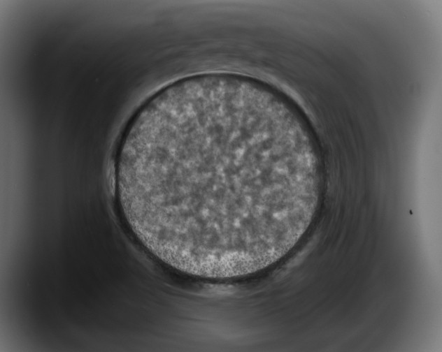X0000087531509200705251649