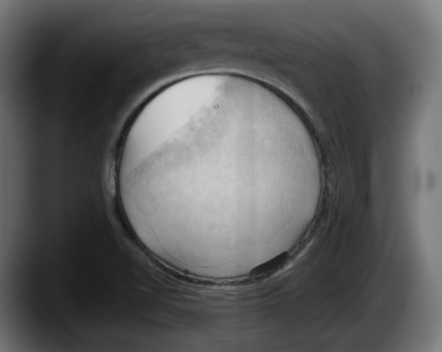 X0000087531510200705251649