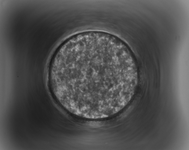 X0000087531511200705251649