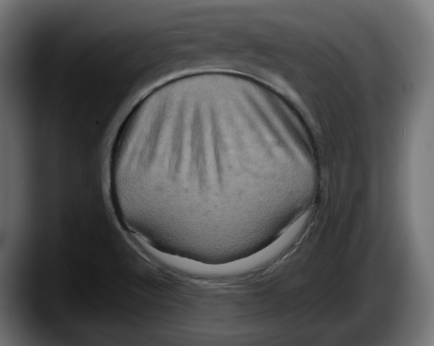 X0000087531512200705251649
