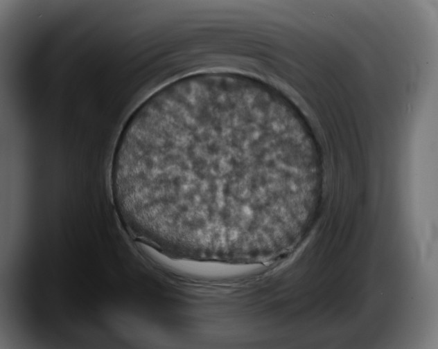X0000087531513200705251649