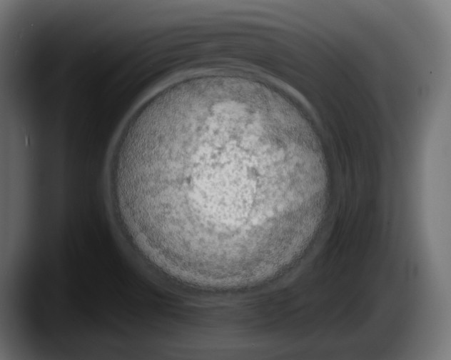 X0000087531514200705251649