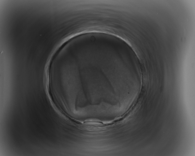 X0000087531515200705251649