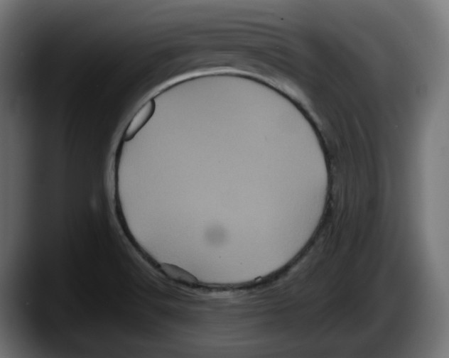 X0000087531516200705251649