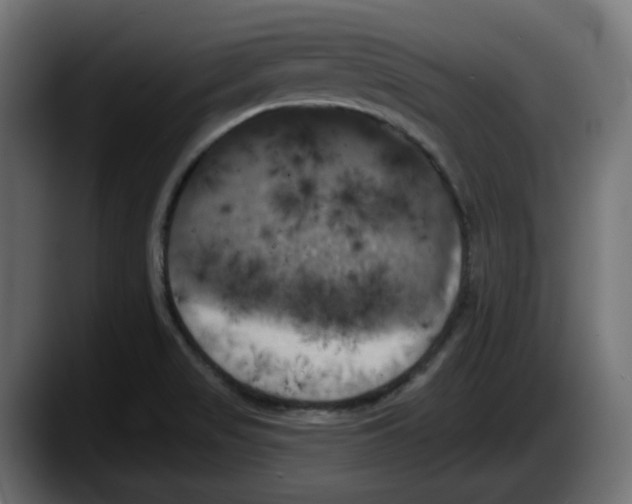 X0000087531517200705251649