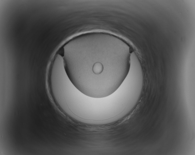 X0000087531518200705251649
