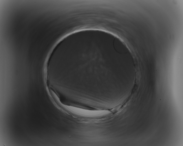 X0000087531519200705251649