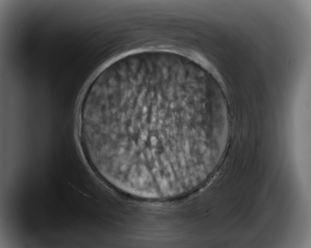 X0000087531520200705251649