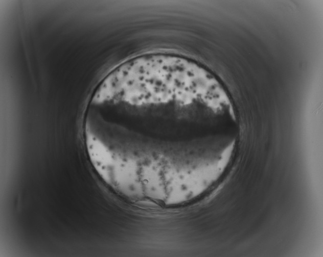 X0000087531521200705251649