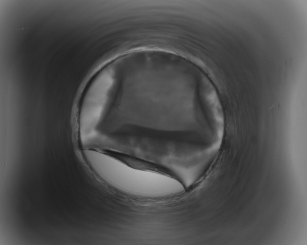 X0000087531522200705251649