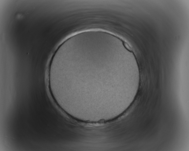 X0000087531526200705251649