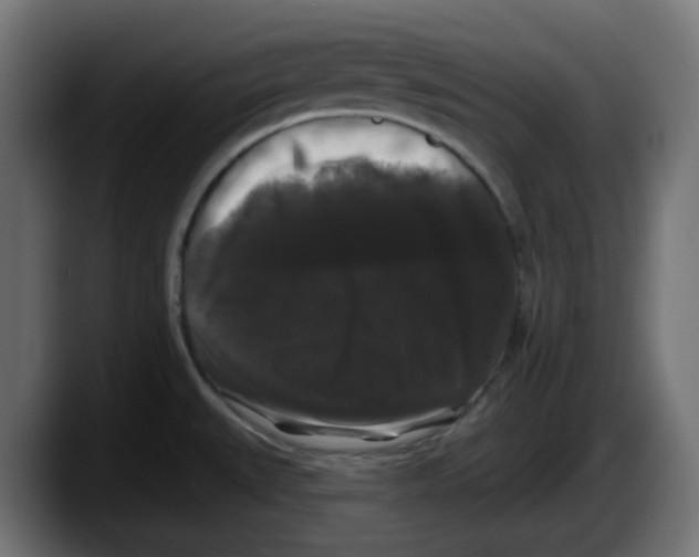 X0000087531527200705251649