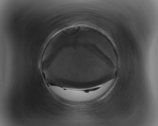 X0000087531529200705251649