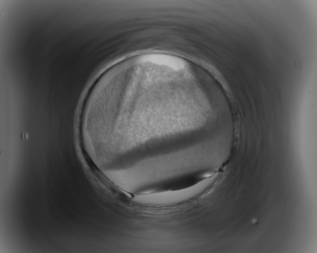 X0000087531530200705251649