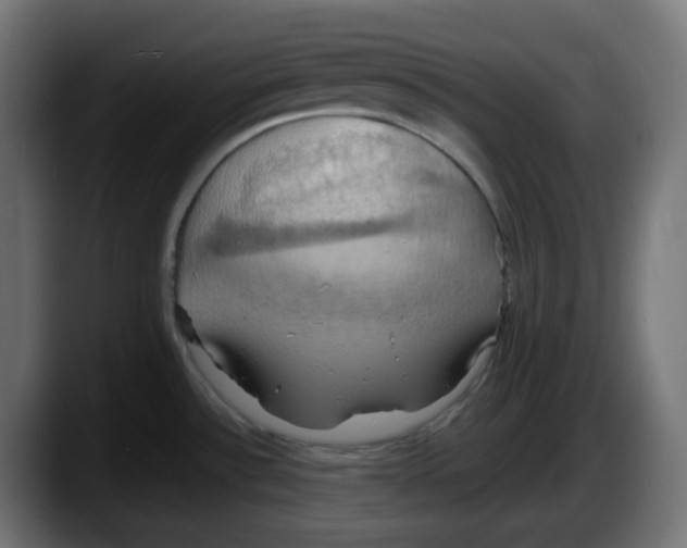 X0000087531532200705251649
