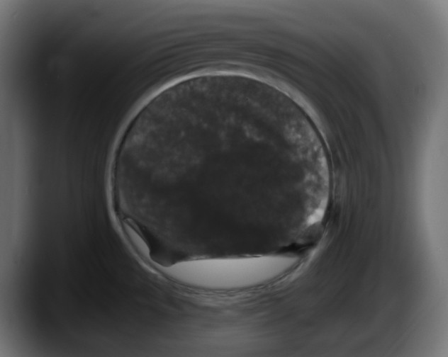 X0000087531533200705251649
