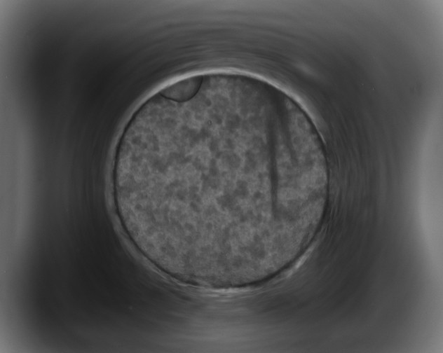 X0000087531534200705251649