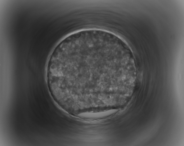 X0000087531535200705251649
