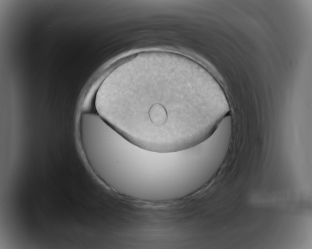 X0000087531536200705251649