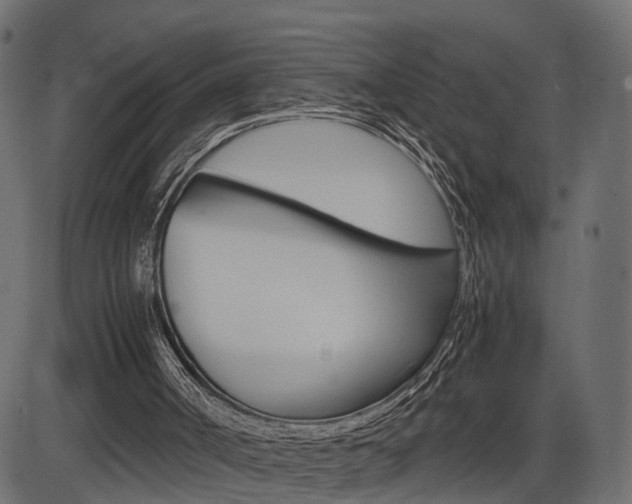 X0000087540002200704270935