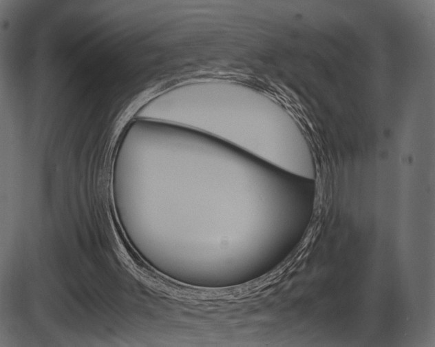 X0000087540003200704270935