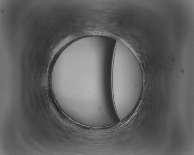 X0000087540008200704270935