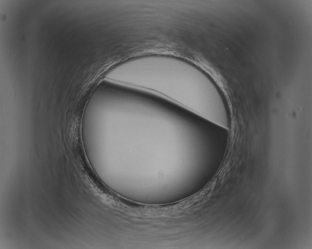X0000087540009200704270935